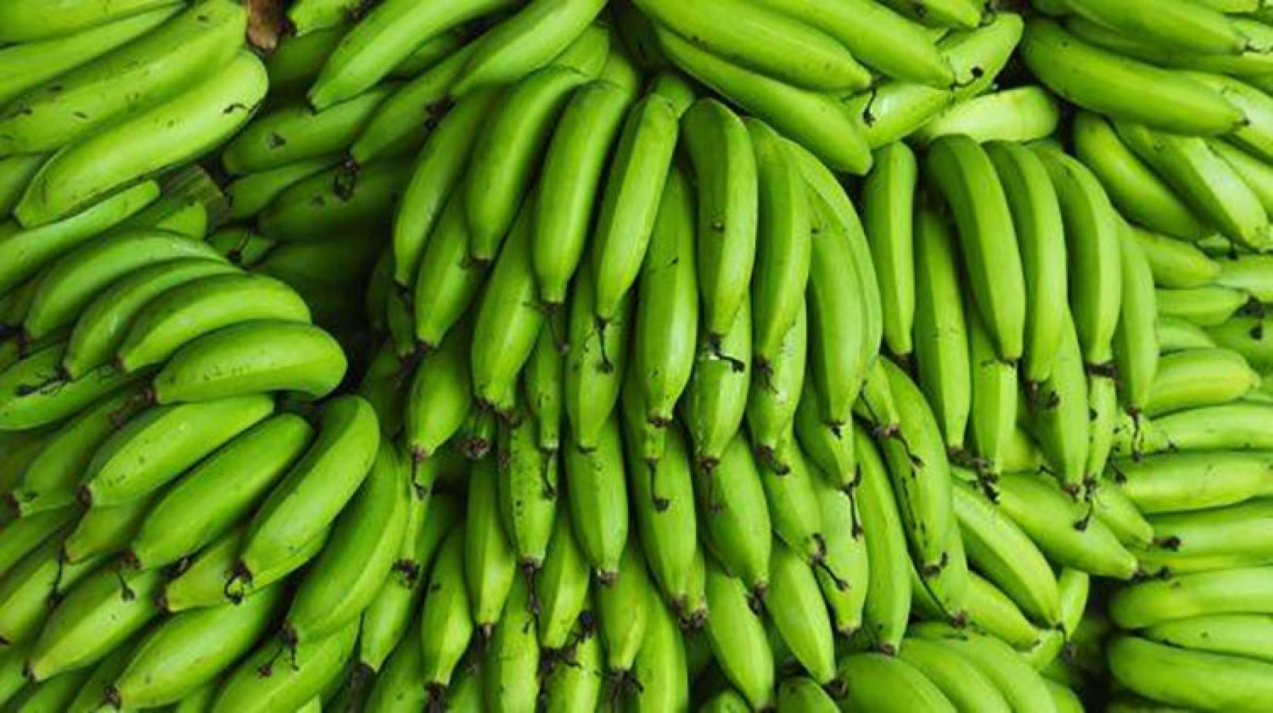 What happens if you eat an unripe green banana?