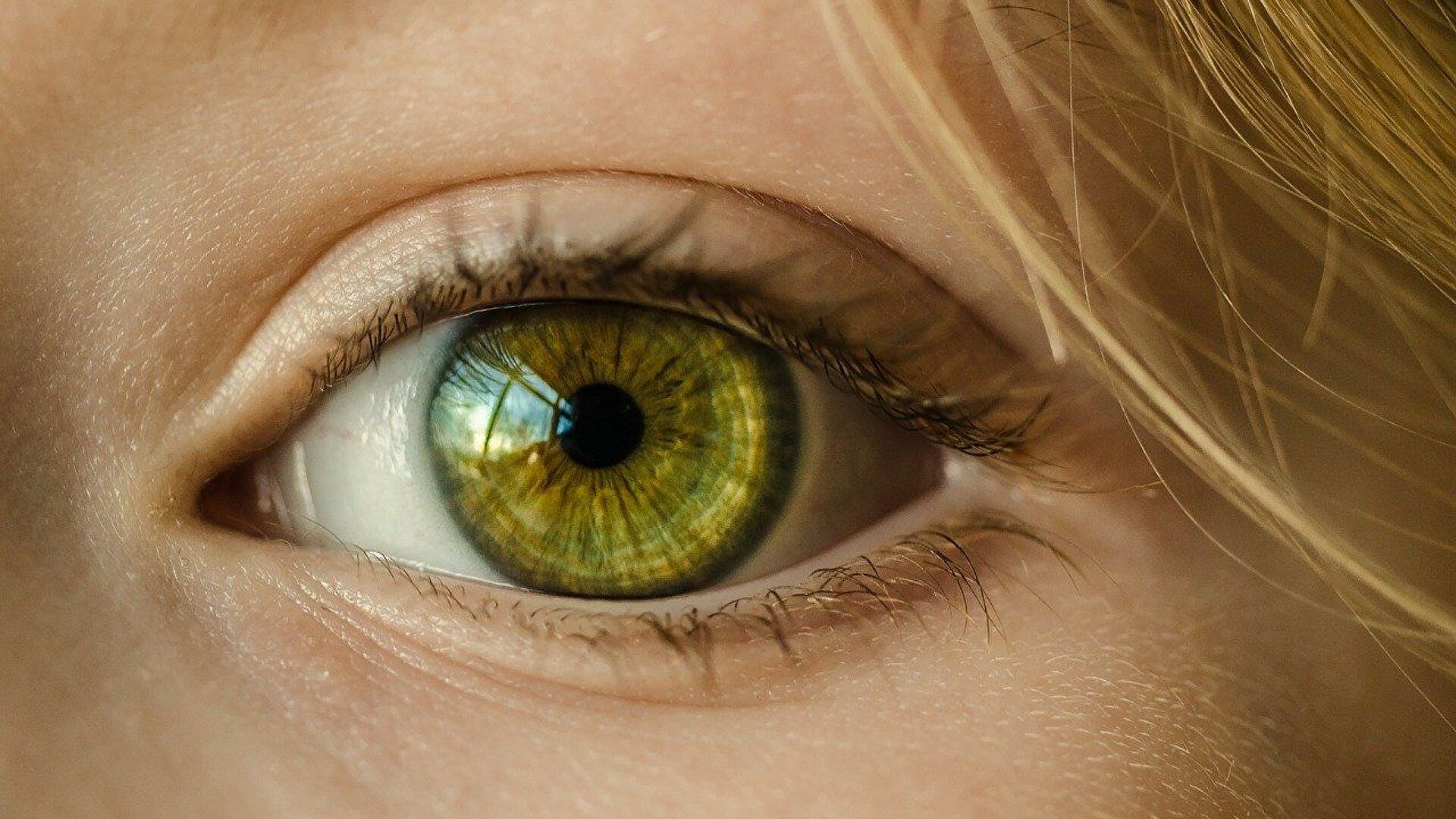 Symptoms that appear in the eyes indicating severe illness