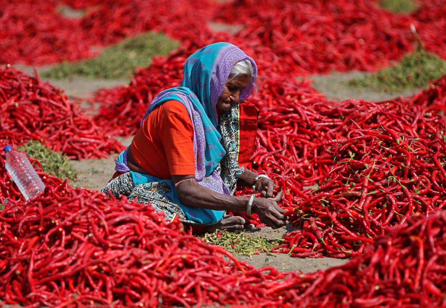 what-happens-to-your-body-when-you-eat-spicy-food