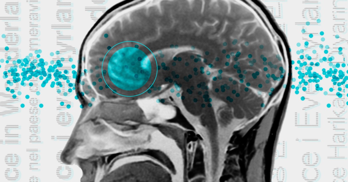 Scientists have discovered a brain network capable of responding to the world’s different languages  Science