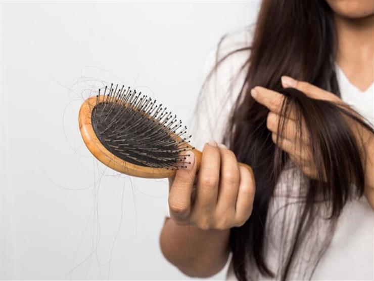 Foods to Stop Hair Loss |  Mazrawi