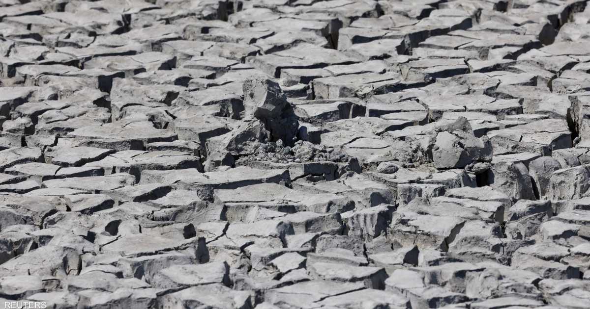 Worst warnings in 500 years… Drought kills Europe